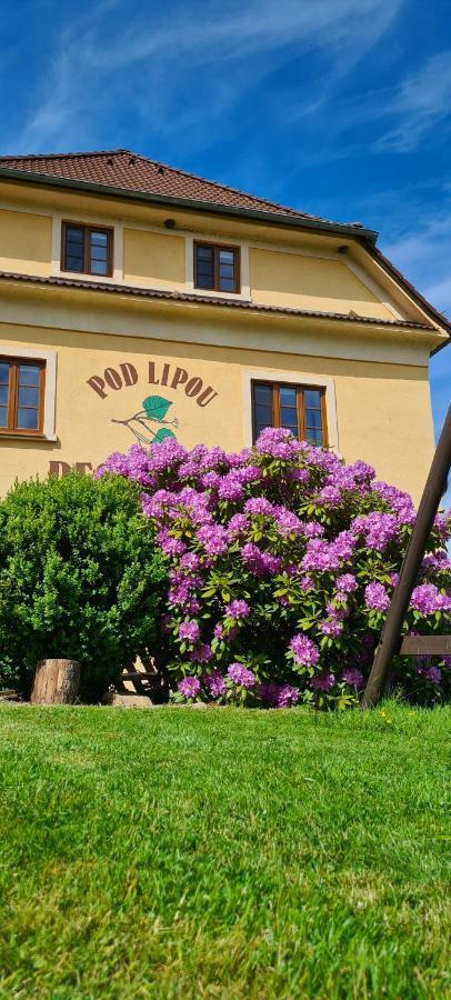 Pension Pod Lipou Loucovice Exterior photo